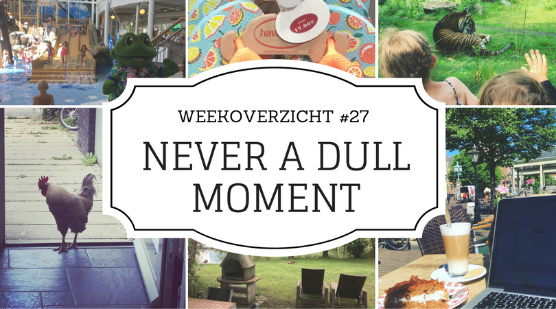 Weekoverzicht Never a Dull Moment #26
