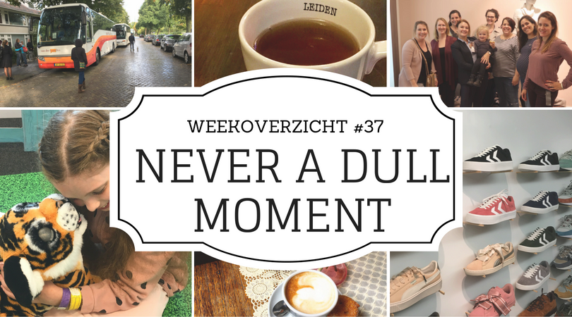 weekoverzicht - Never a Dull Moment #37