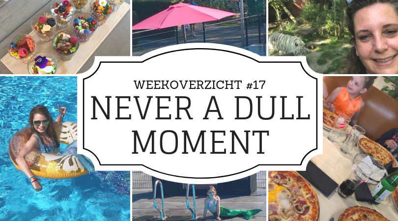 Weekoverzicht | Never a dull moment week 17