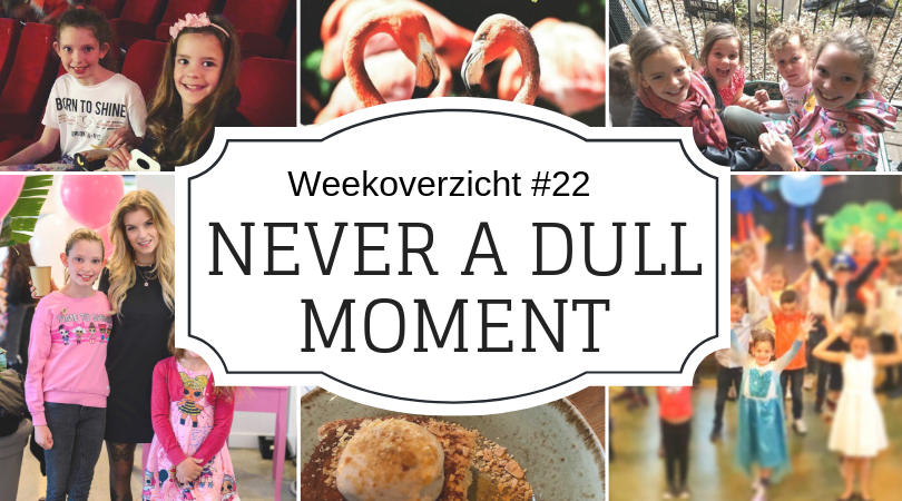Never a dull moment week 22