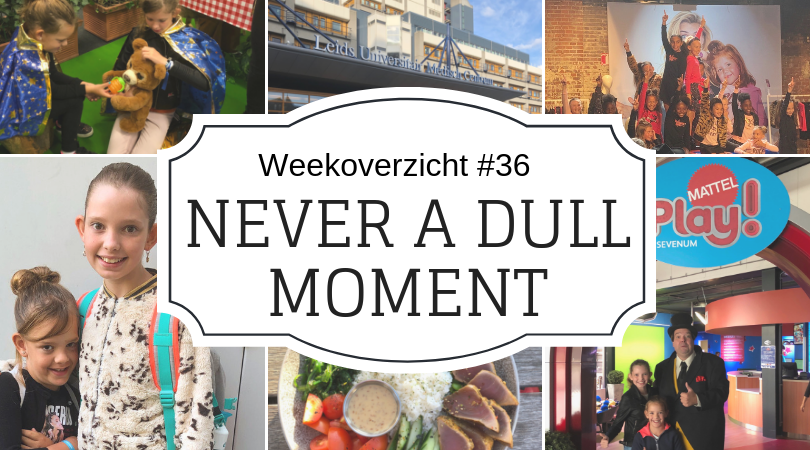 Never-a-Dull-Moment-week-36