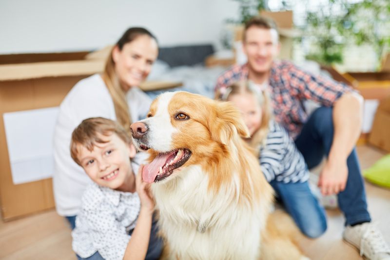 Zó bereid je je gezin voor op de komst van een hond