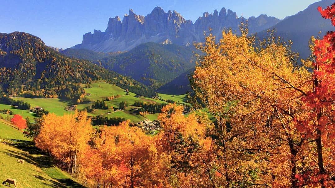 De herfst bij Roter Hahn