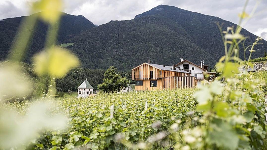 Roter Hahn