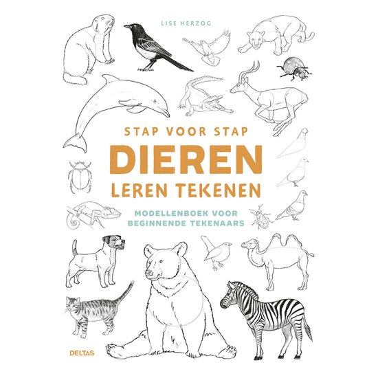 Stap voor stap dieren leren tekenen