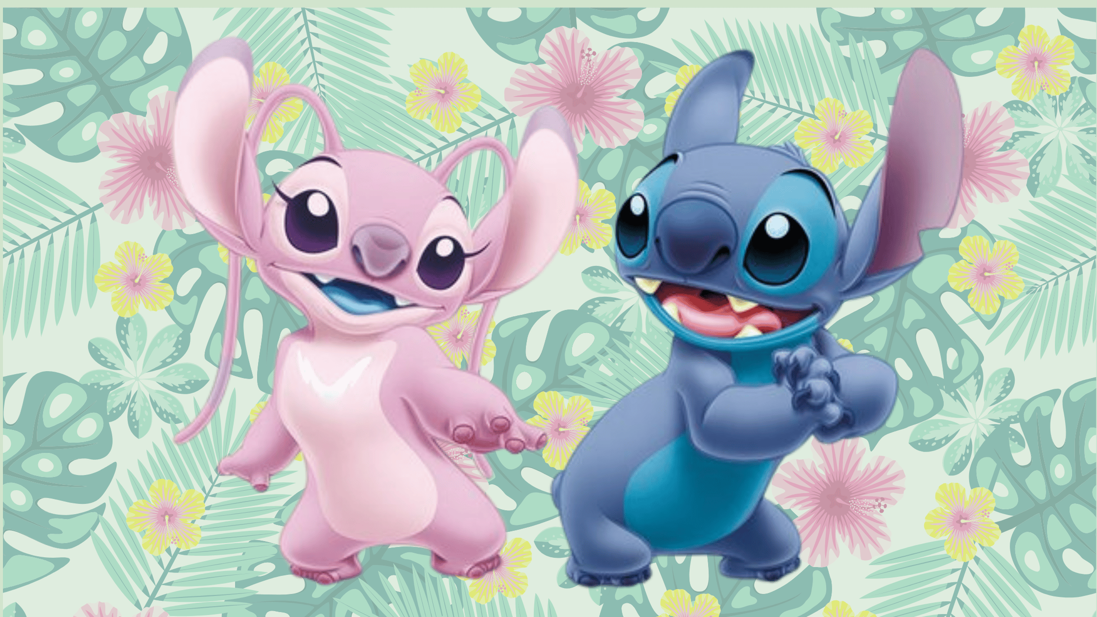 Stitch Doeboek
