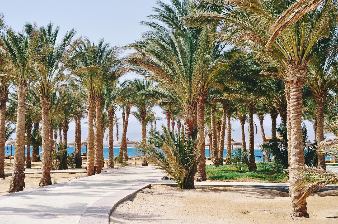 Zon, zee en speelplezier: waarom Hurghada verrassend kindvriendelijk is