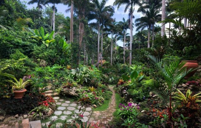 Hunte's Gardens