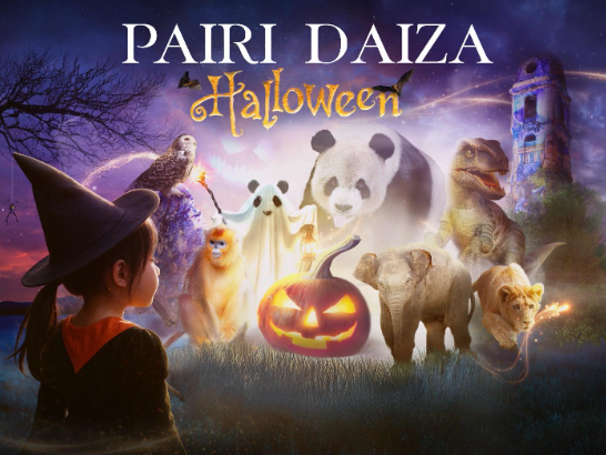 Halloween in Pairi Daiza met pompoenen en dieren