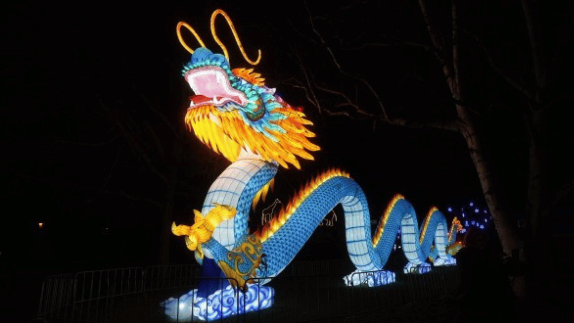 China Lights Festival Tiergarten Kleve