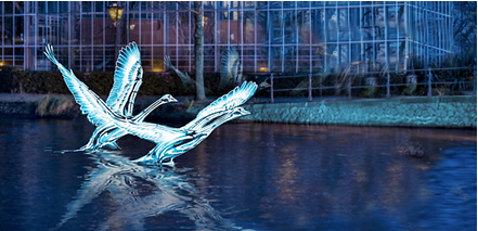 Lichtinstallaties langs de grachten tijdens Amsterdam Light Festival