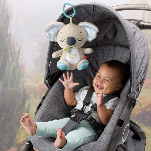 Fisher-Price Koala Knuffel