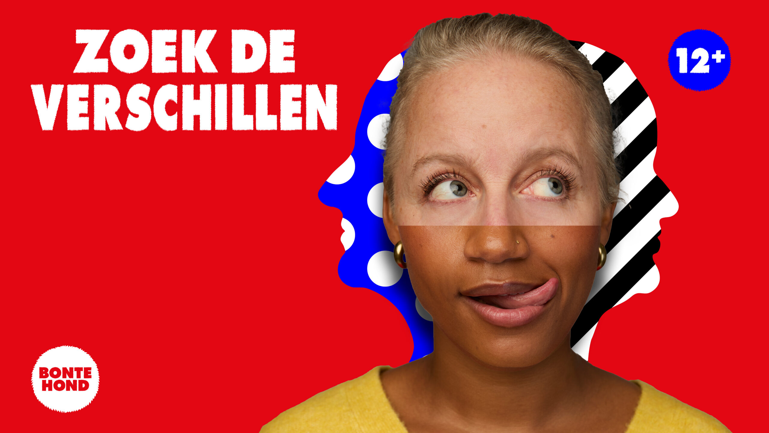 Zoek de verschillen jongerenvoorstelling BonteHond