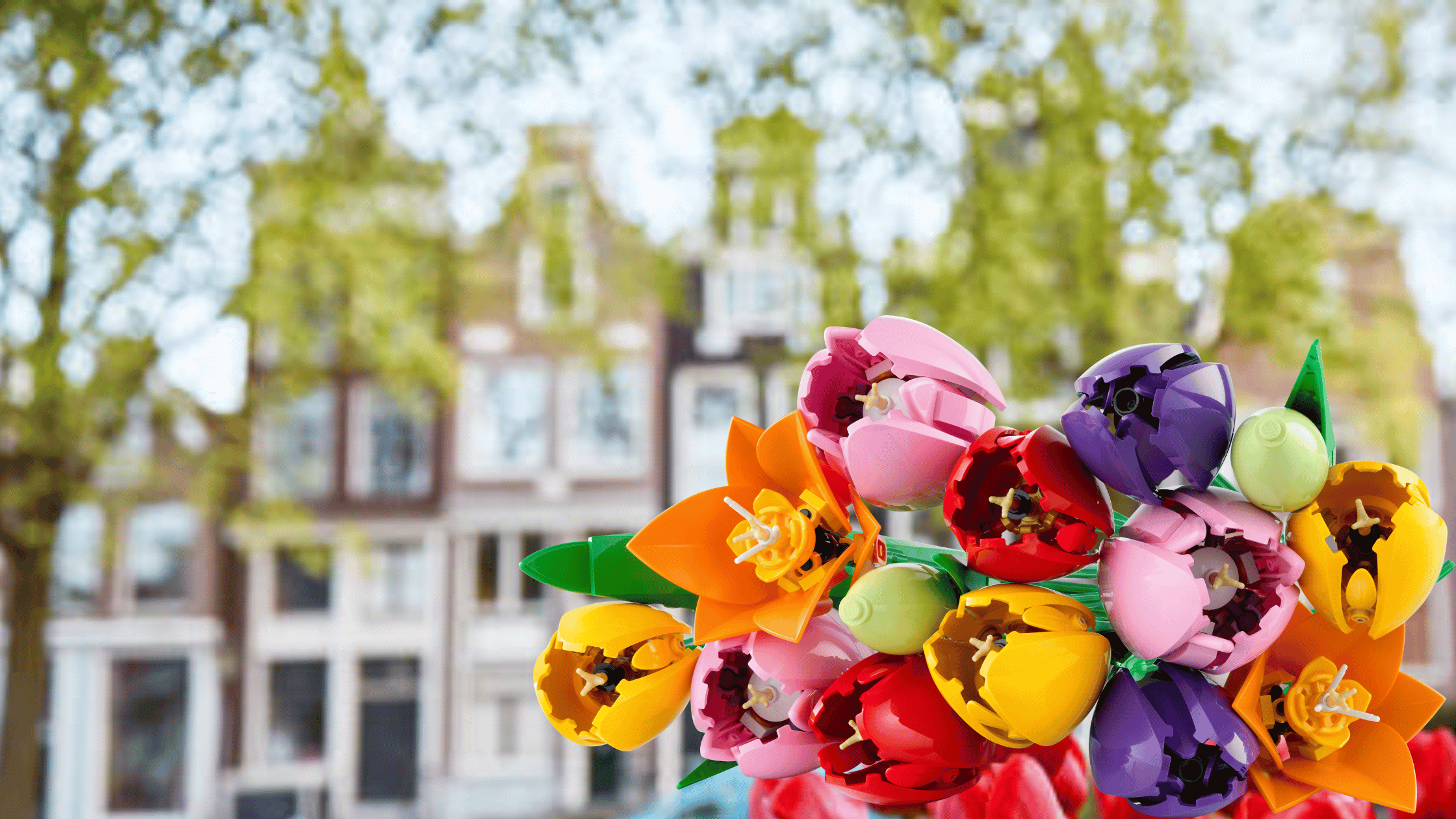 Tulpen in bloei tijdens een wandeling door Amsterdam in het voorjaar