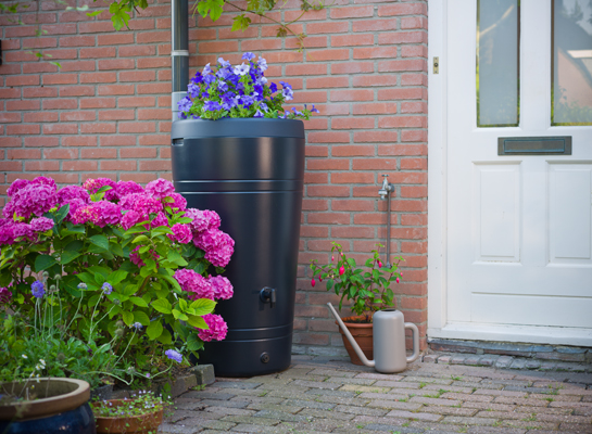 Regenton met bloemenbak