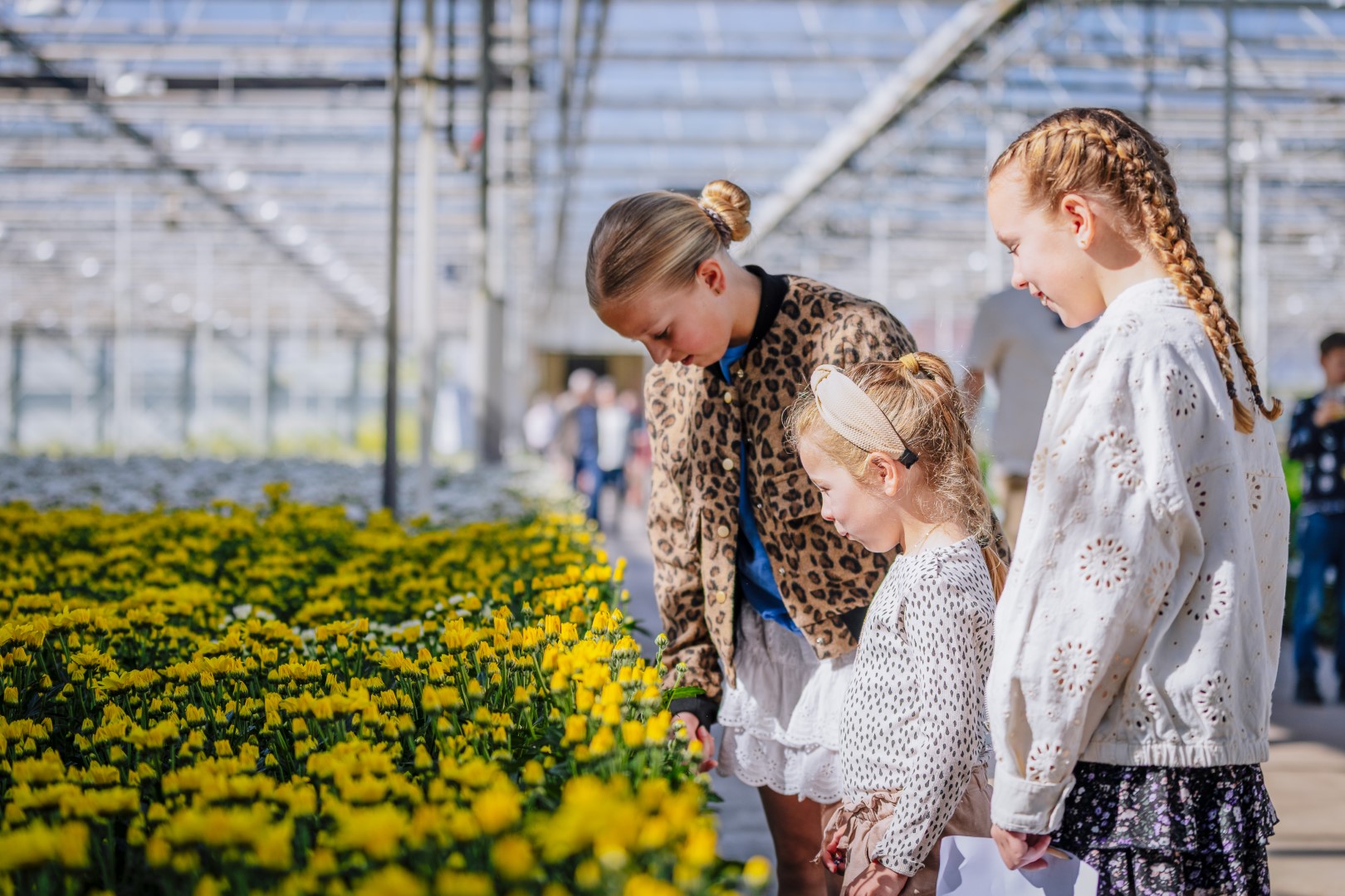 gezin bezoekt een moderne kas tijdens Kom in de Kas 2026