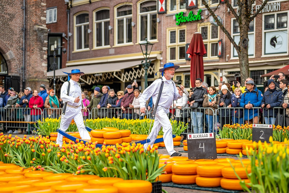 Kaasdragers op het Waagplein in Alkmaar tussen kleurrijke tulpen tijdens de Tulpenkaasmarkt