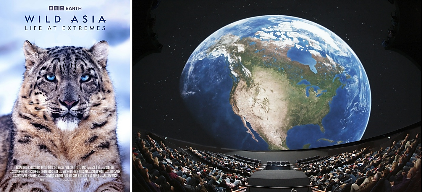 Wild Asia in Museon-Omniversum is een leuk uitje met Pasen of in de meivakantie