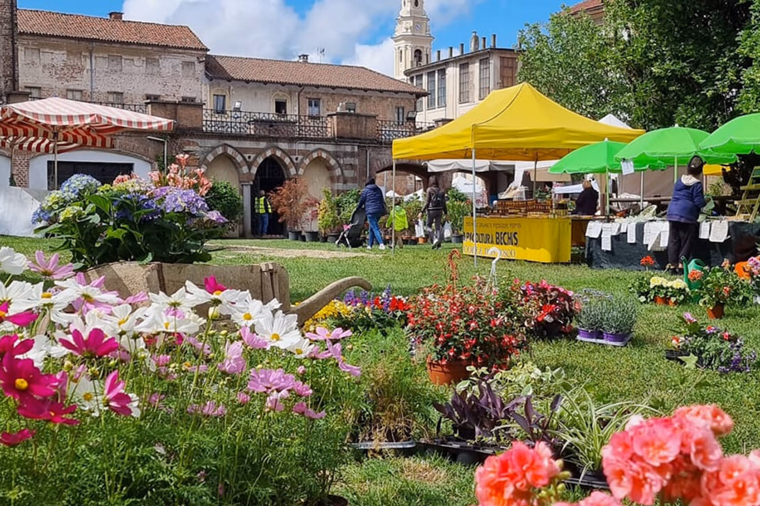 Terras met eten en wijn met uitzicht over heuvels en dorp in Piëmont Italië