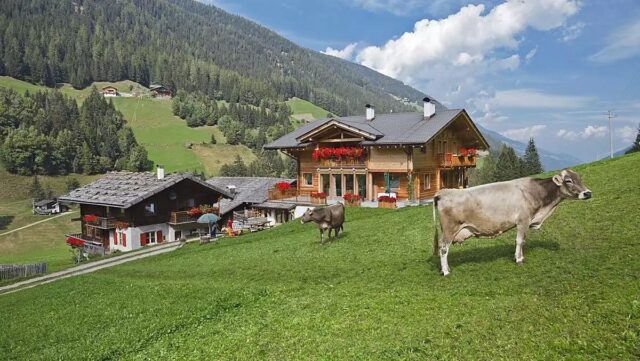 Oberhausgut Roter Hahn