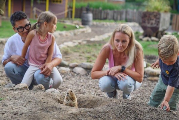Tiergarten Kleve maakt zich op voor Tierische Sommerabende © Tiergarten Kleve