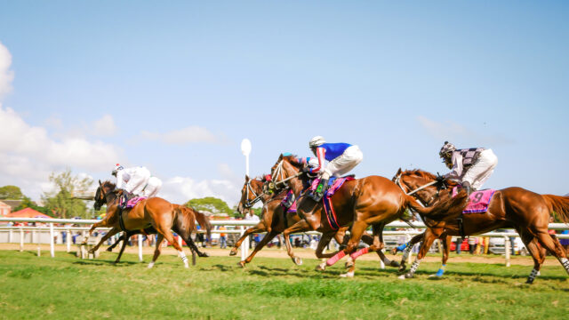 Barbados paardenrace