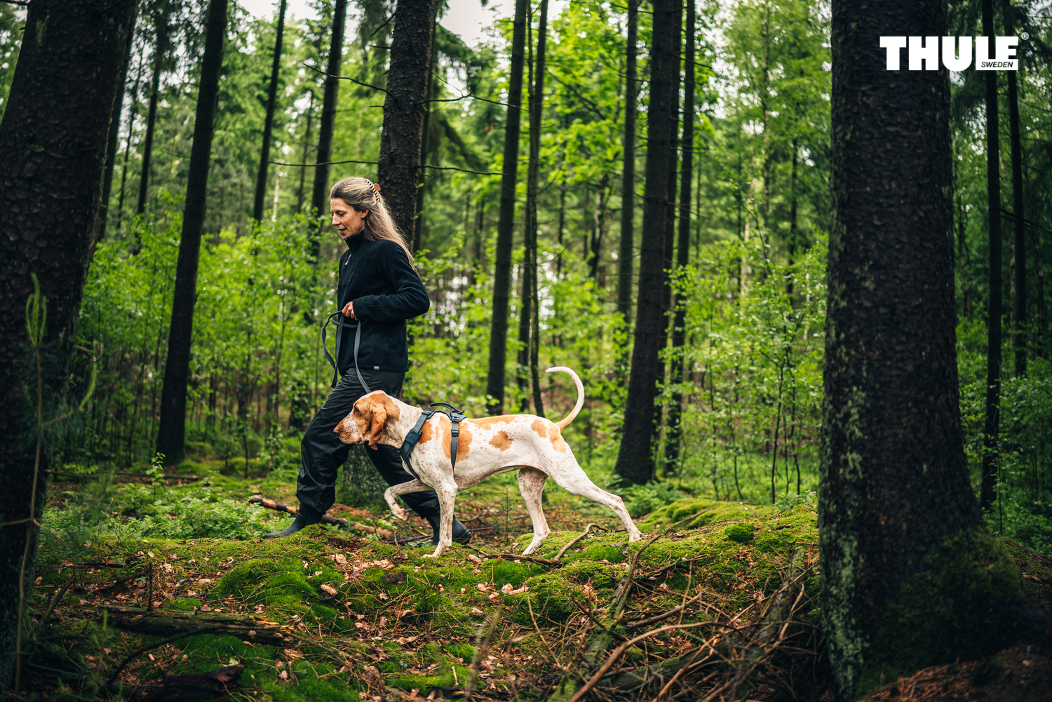Vrouw wandelt met een hond die een Thule Dart-hondentuig draagt
