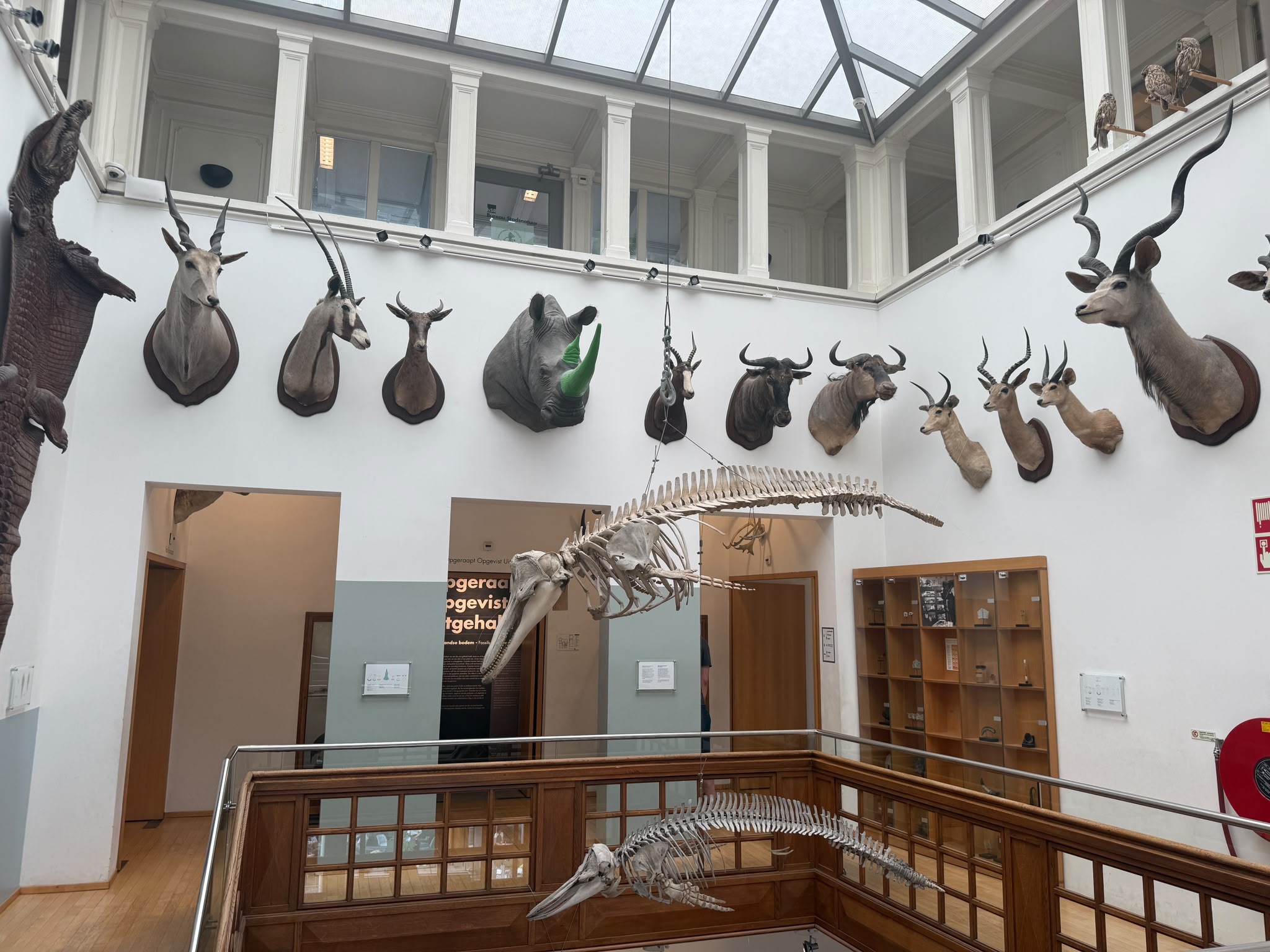 Het Natuurhistorisch met kinderen in Rotterdam