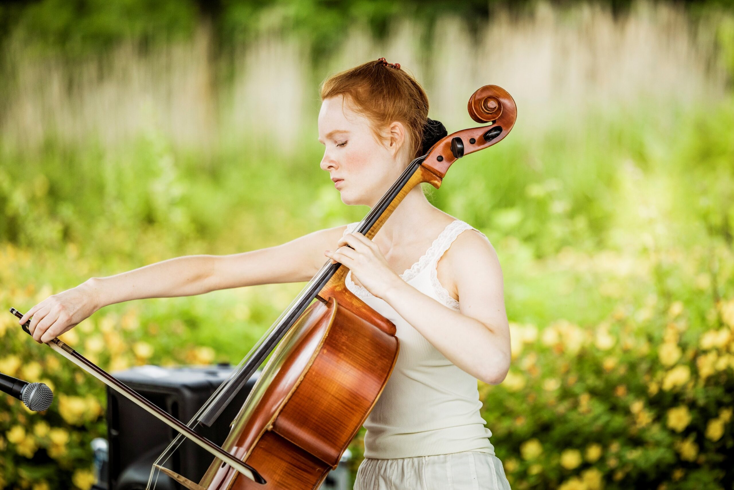 Bezoekers luisteren naar klassieke muziek in de natuur tijdens Festival Het Groene Geheim