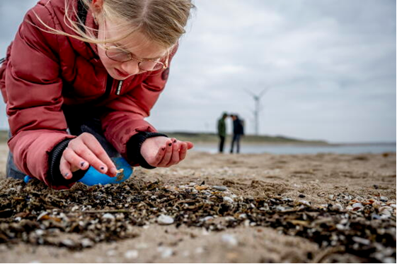 Fossielen zoeken op de Maasvlakte bij Portlantis