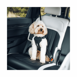 Thule Cappy